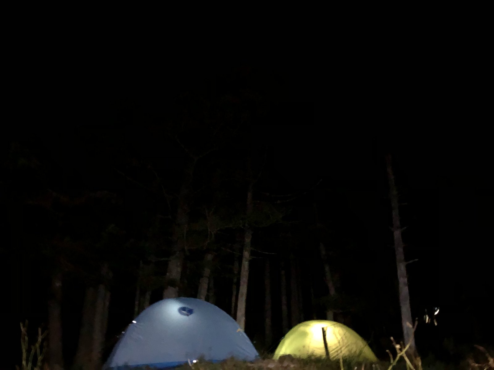 夜の赤岳鉱泉のテント場 暗い森の中に灯るテント ヤマカルテ