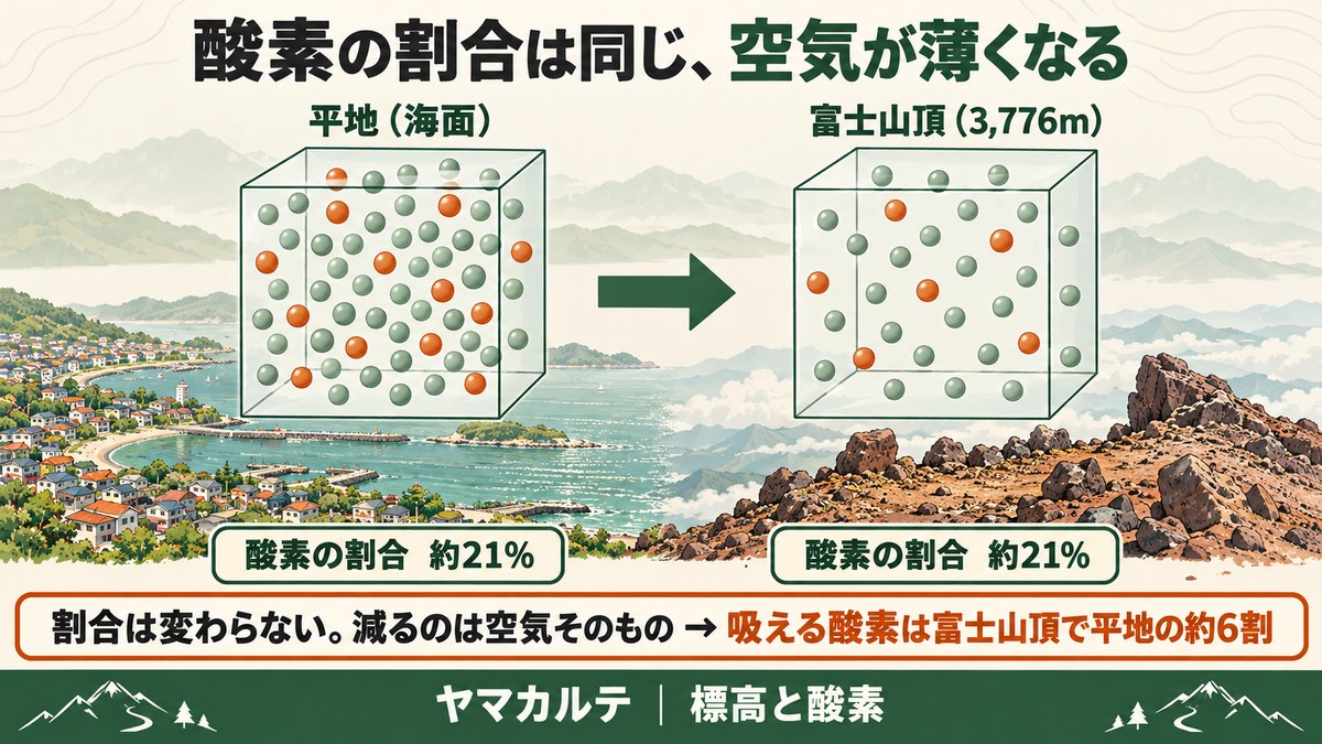 酸素の割合は同じで空気が薄くなる図解 平地と富士山頂3,776mの同じ大きさの箱で酸素の割合はどちらも約21%、富士山頂は空気の粒が少なく吸える酸素は平地の約6割 ヤマカルテ