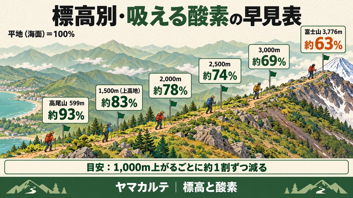 標高別の吸える酸素の早見表の図解 平地を100%として高尾山599mで約93%、1,500m上高地で約83%、2,000mで約78%、2,500mで約74%、3,000mで約69%、富士山3,776mで約63%、1,000m上がるごとに約1割ずつ減る ヤマカルテ