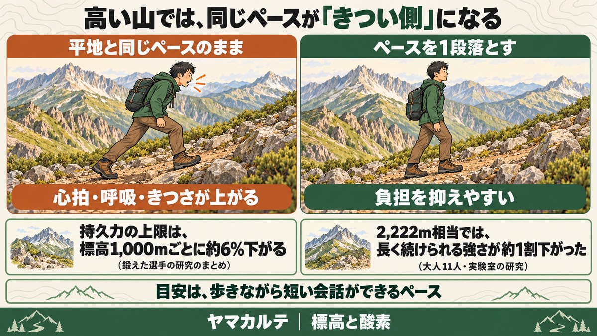 高い山では同じペースがきつい側になる図解 平地と同じペースでは心拍・呼吸・きつさが上がり、ペースを1段落とすと負担を抑えやすい、持久力の上限は標高1,000mごとに約6%下がり2,222m相当では長く続けられる強さが約1割下がった、目安は短い会話ができるペース ヤマカルテ
