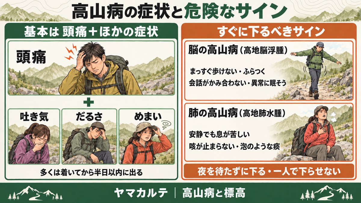 高山病の症状と危険なサインの図解 基本は頭痛に吐き気・だるさ・めまいが重なる、脳の高山病はふらつき、肺の高山病は安静でも息苦しさと咳、夜を待たずに下り一人で下らせない ヤマカルテ