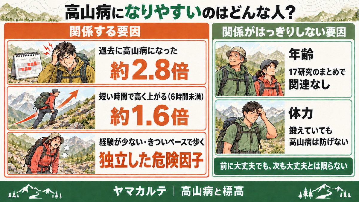 高山病になりやすい人の図解 過去に高山病になった人は約2.8倍、6時間未満で高く上がると約1.6倍、年齢は関連なし、体力があっても高山病は防げない ヤマカルテ