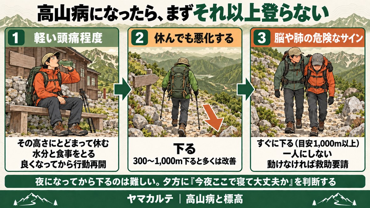 高山病になったらどうするかの図解 軽い頭痛はその高さで休む、悪化したら300〜1,000m下る、脳や肺の危険なサインはすぐ下り一人にせず救助要請 ヤマカルテ