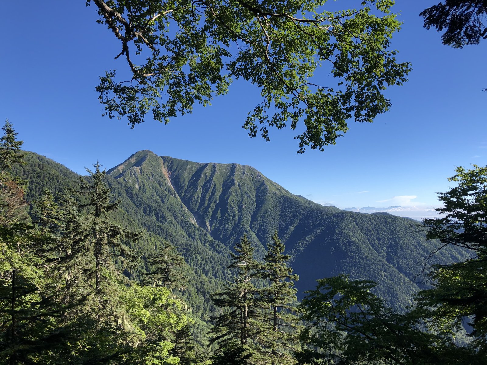蝶ヶ岳 三股ルートから見える常念岳 ヤマカルテ