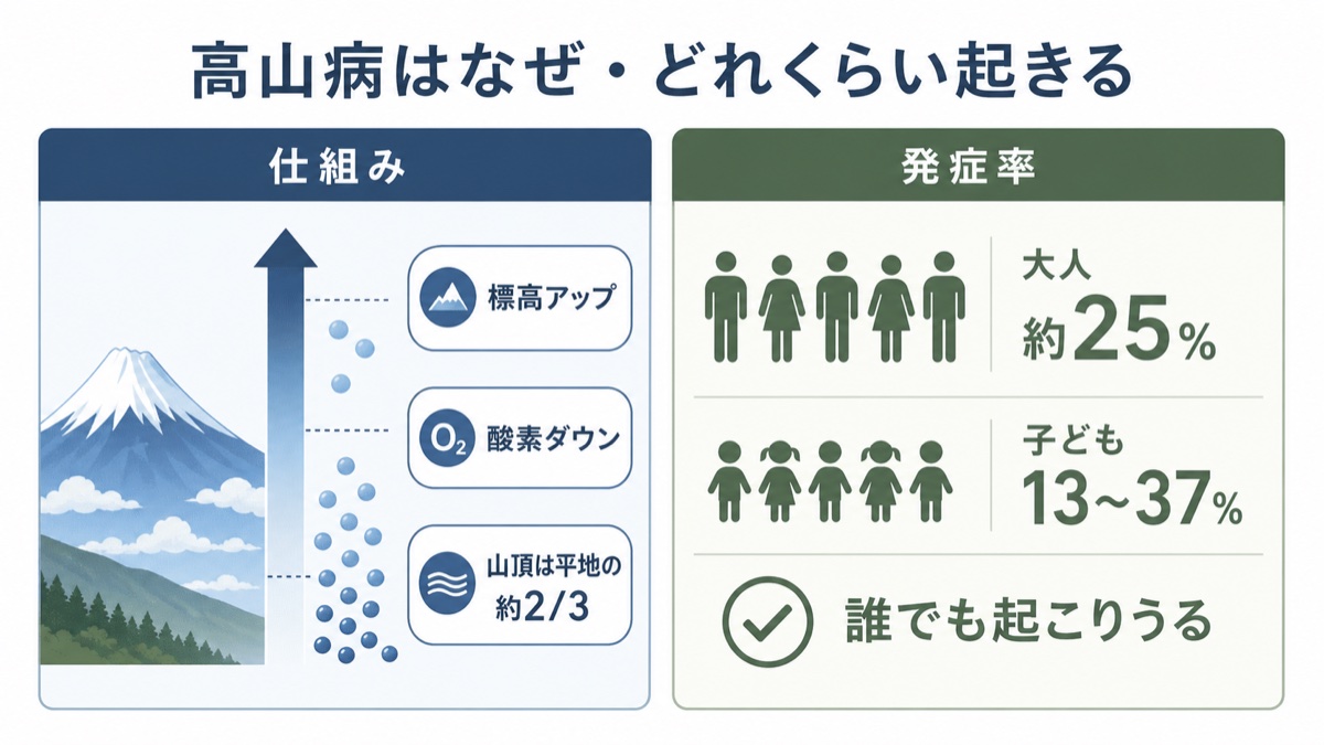 高山病はなぜどれくらい起きるかの図解 標高が上がると酸素が減り富士山頂の気圧は平地の約2/3、発症率は大人約25%子ども13〜37%で誰でも起こりうる