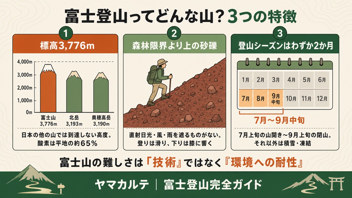富士登山ってどんな山？3つの特徴 標高3,776m（他の山では到達しない高度）・森林限界より上の砂礫（登りは滑り下りは膝に響く）・登山シーズンはわずか2か月（7月〜9月中旬）を理学療法士が図解 ヤマカルテ