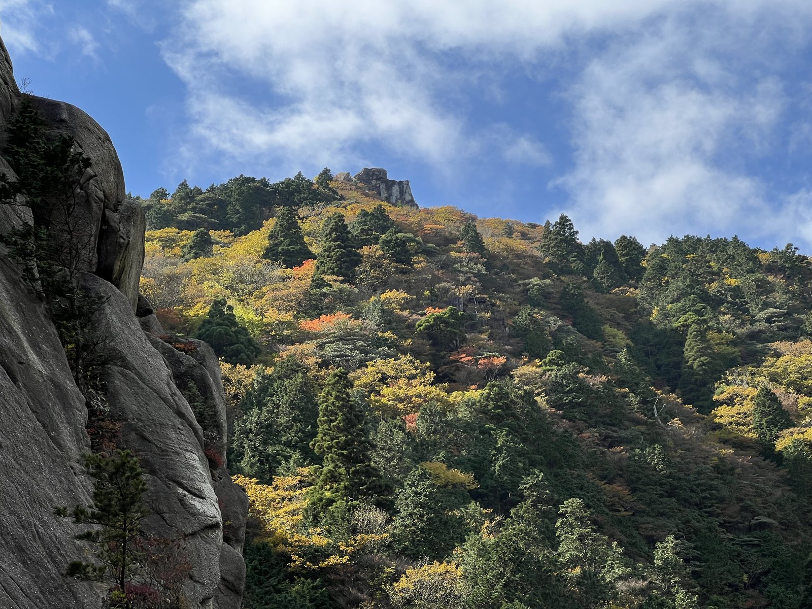 紅葉した御在所岳の山腹と岩峰 ヴィアフェラータから見上げた秋の景色 ヤマカルテ