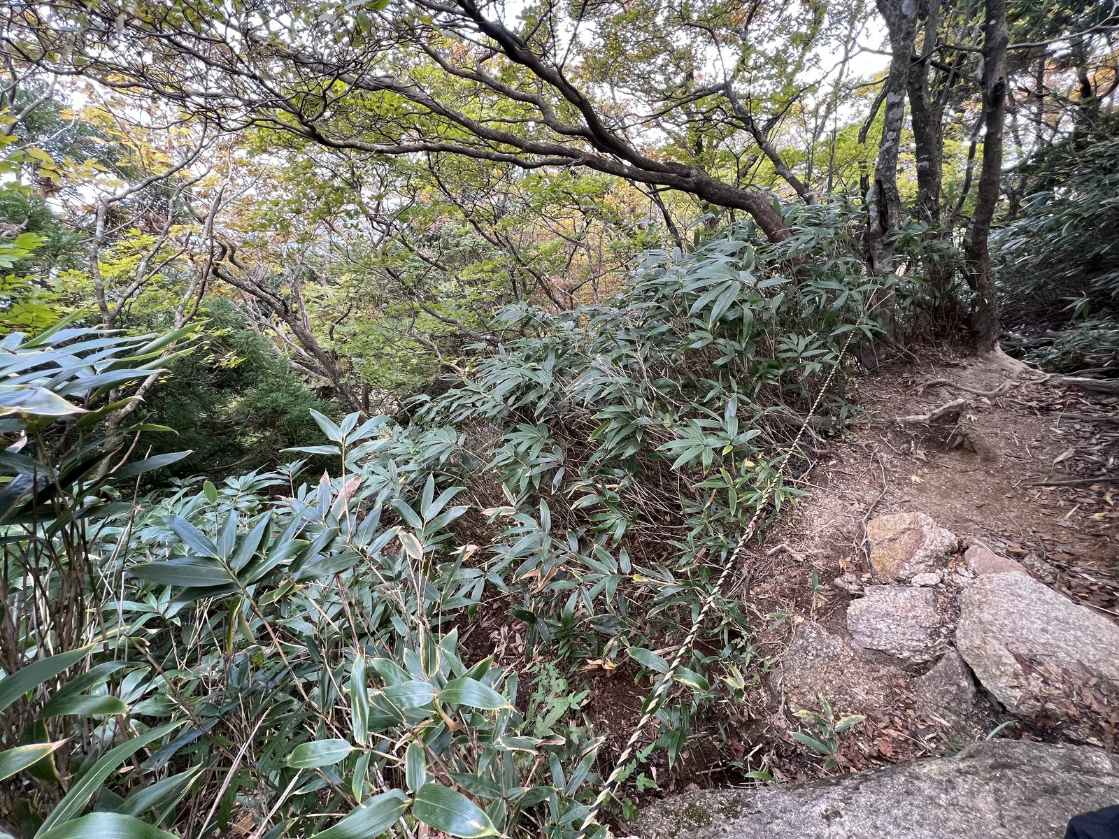 笹の茂みを抜けて中道に合流する地点 御在所岳ヴィアフェラータの終点 ヤマカルテ