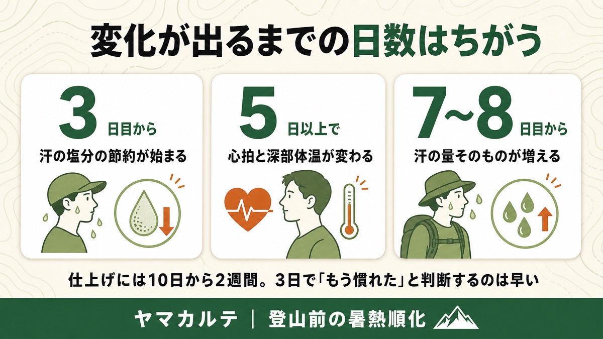 暑熱順化にかかる日数の図解 3日目から汗の塩分節約が始まり、5日で心拍と深部体温が変わり、発汗量が増えるのは7から8日目以降 ヤマカルテ