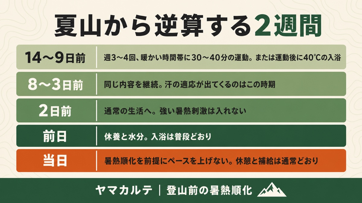 夏山から逆算する暑熱順化の2週間の予定表の図解 14〜9日前は週3〜4回の運動または入浴、8〜3日前は継続、2日前は通常の生活へ、前日は休養と水分、当日はペースを上げない ヤマカルテ