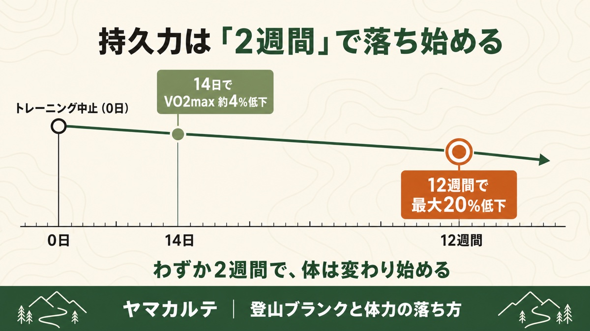持久力は運動中止から14日でVO2max約4%低下、12週間で最大20%低下するタイムライン ヤマカルテ