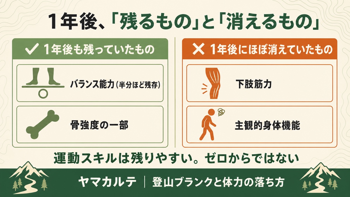 登山ブランク1年後に残るもの(バランス能力・骨強度の一部)と消えるもの(下肢筋力・主観的身体機能)の比較 ヤマカルテ