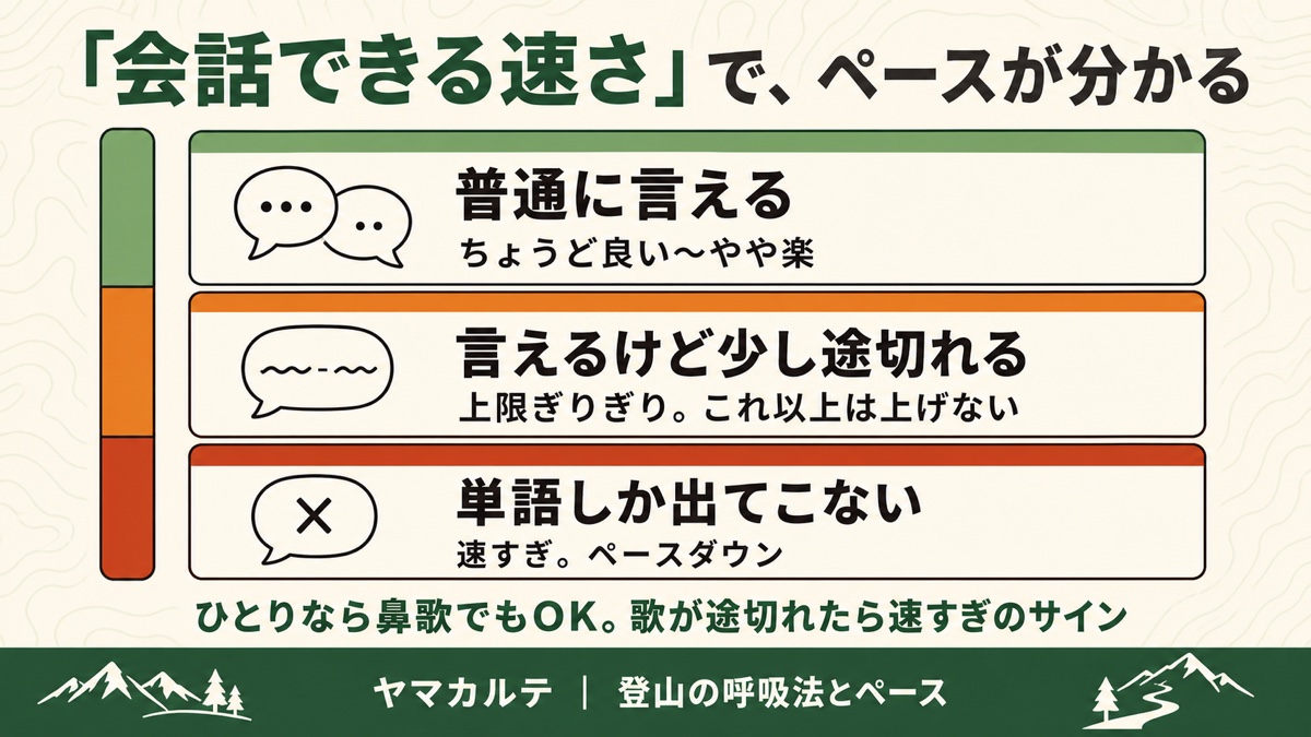 会話できる速さで分かるペース判定 普通に言える・言えるけど少し途切れる・単語しか出てこないの3段階トークテスト ヤマカルテ