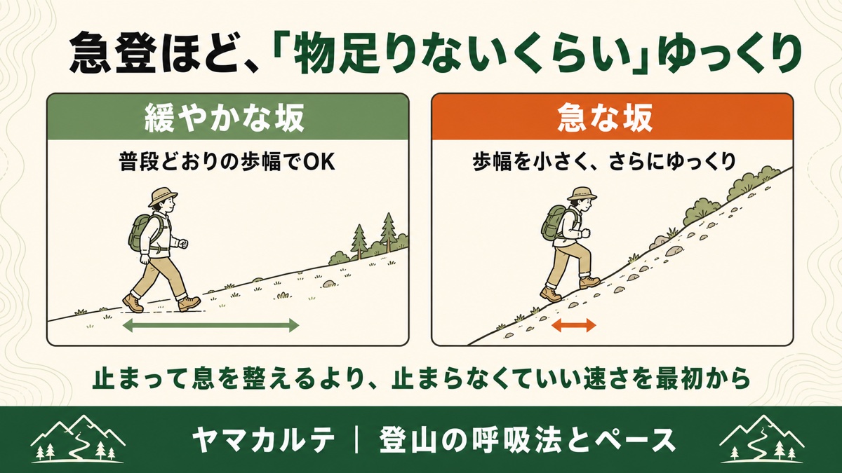 急登ほど物足りないくらいゆっくり 緩やかな坂は普段どおりの歩幅・急な坂は歩幅を小さくさらにゆっくり ヤマカルテ