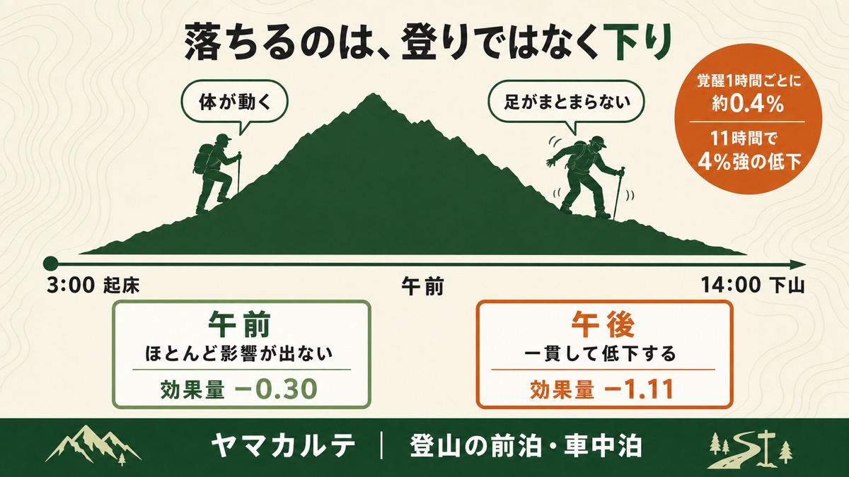 寝不足の影響が登りではなく下りに出ることを示す図解 3時起床から14時下山までの行程で午前は効果量マイナス0.30とほとんど影響が出ず午後はマイナス1.11で一貫して低下、覚醒1時間ごとに約0.4%で11時間なら4%強の低下 ヤマカルテ