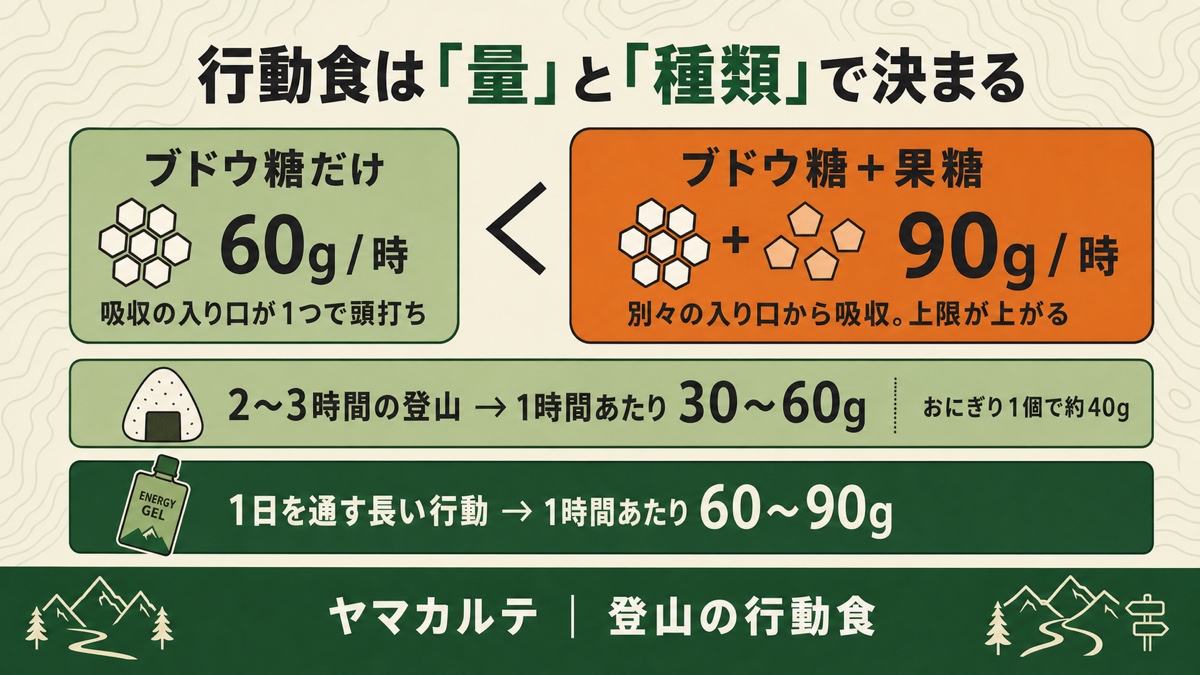 行動食は量と種類で決まる ブドウ糖だけ60g/時・ブドウ糖＋果糖90g/時と行動時間別のめやす ヤマカルテ