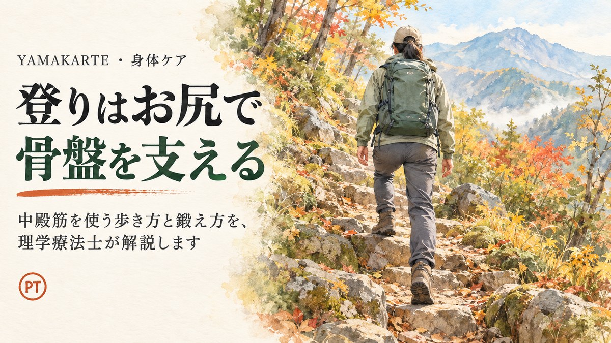 登りはお尻で骨盤を支える 秋の岩の登山道をザックを背負って登る登山者を真後ろから見た水彩画 中殿筋を使う歩き方と鍛え方を理学療法士が解説 ヤマカルテ