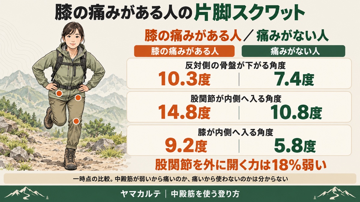 膝の痛みがある人の片脚スクワット 反対側の骨盤が下がる角度10.3度と7.4度 股関節14.8度と10.8度 膝9.2度と5.8度 股関節を外に開く力は18%弱い ヤマカルテ