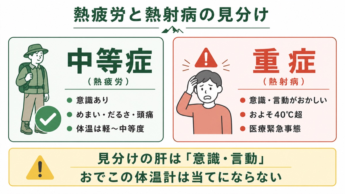 熱疲労と熱射病の見分け方を中等症と重症で比較した図解 見分けの肝は意識・言動でおでこの体温計は当てにならない