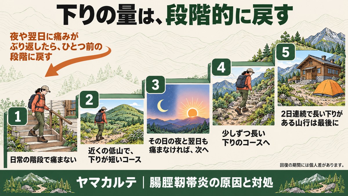下りの量は段階的に戻す 日常の階段で痛まない・近くの低山で下りが短いコース・その日の夜と翌日も痛まなければ次へ・少しずつ長い下りのコースへ・2日連続で長い下りがある山行は最後に 痛みがぶり返したらひとつ前の段階に戻す ヤマカルテ