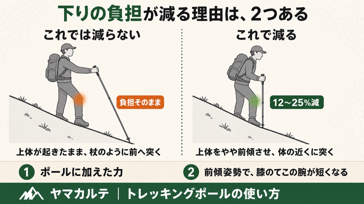下りでポールを使うと膝への力が12〜25%減る理由はポールに加えた力と前傾姿勢で膝のてこの腕が短くなることの2つだと示した図解 ヤマカルテ
