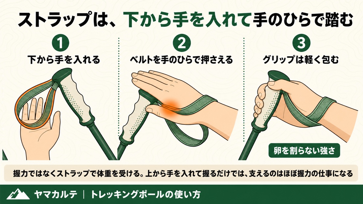 トレッキングポールのストラップに下から手を入れて手のひらで根元を押さえグリップを軽く包む3ステップの図解 ヤマカルテ