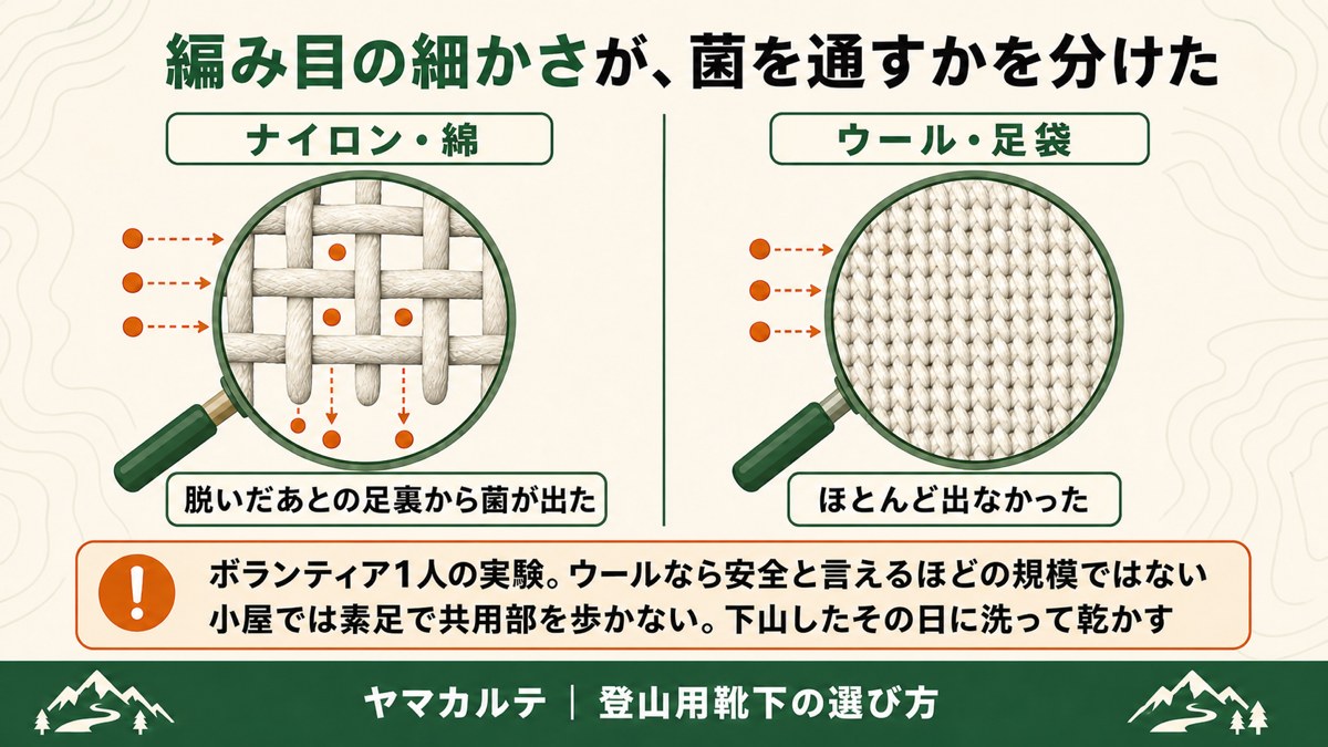 靴下の編み目と水虫菌の図解 ナイロン・綿は編み目が粗く菌が通り抜ける ウール・足袋は編み目が細かくほとんど出なかった ヤマカルテ