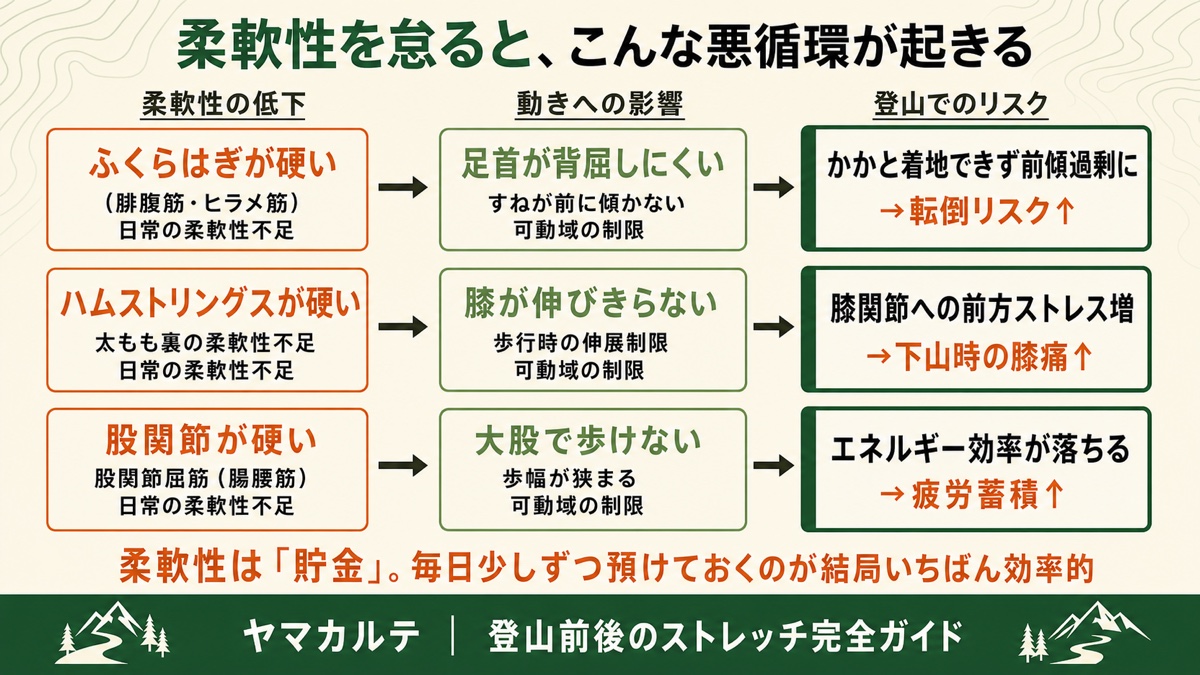 柔軟性の低下が招く3つの悪循環 ふくらはぎの硬さが前傾過剰と転倒リスクに、ハムストリングスの硬さが膝への前方ストレスに、股関節の硬さが疲労蓄積につながる流れを図解 ヤマカルテ