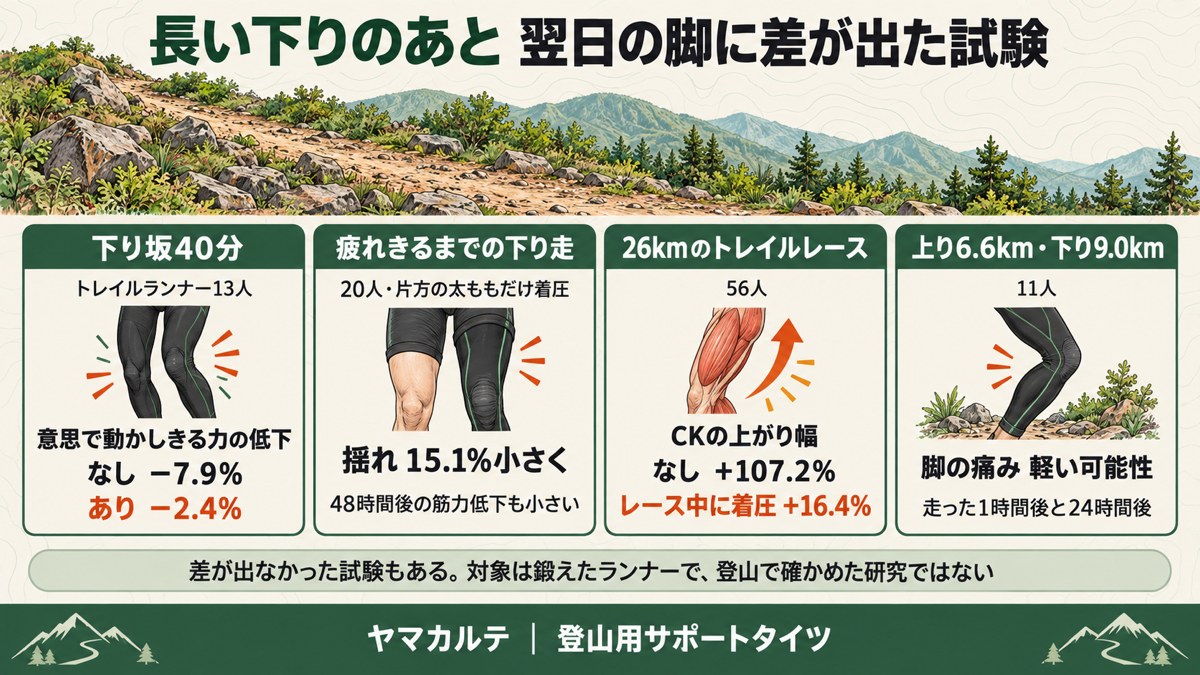 長い下りのあと翌日の脚に差が出た4つの試験の図解 下り坂40分で随意活性化の低下−7.9%と−2.4% 揺れ15.1%減 26kmレースでCK上昇+107.2%と+16.4% 模擬トレイルで脚の痛みが軽い可能性 ヤマカルテ