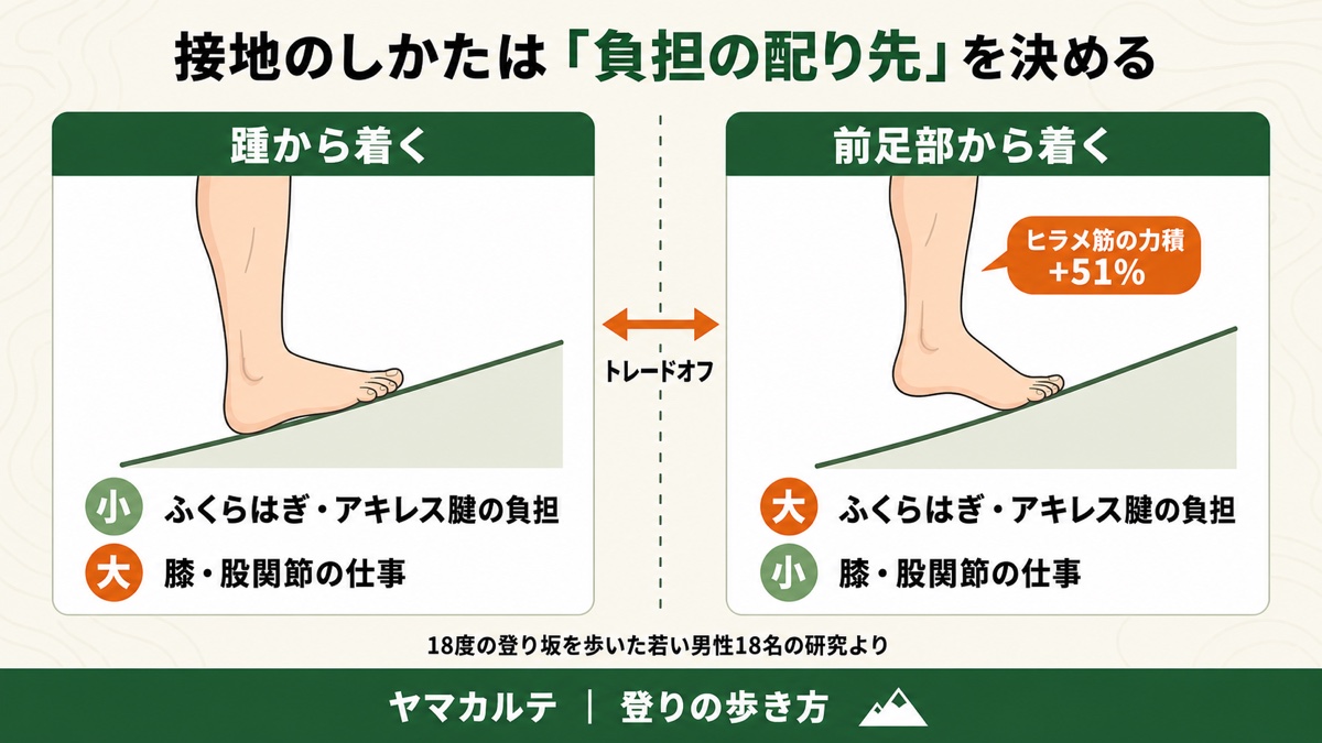 登り坂の接地のしかたと負担の配り先 踵から着くとふくらはぎの負担が小さく前足部から着くとヒラメ筋の力積が51%多い 登山の登りの歩き方 ヤマカルテ