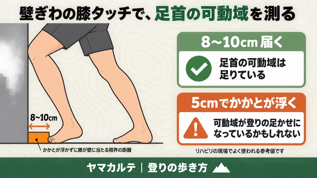 壁ぎわの膝タッチで足首の可動域を測る かかとが浮かずに膝が壁に当たる限界の距離は8〜10cmが目安 登山の登りの歩き方 ヤマカルテ