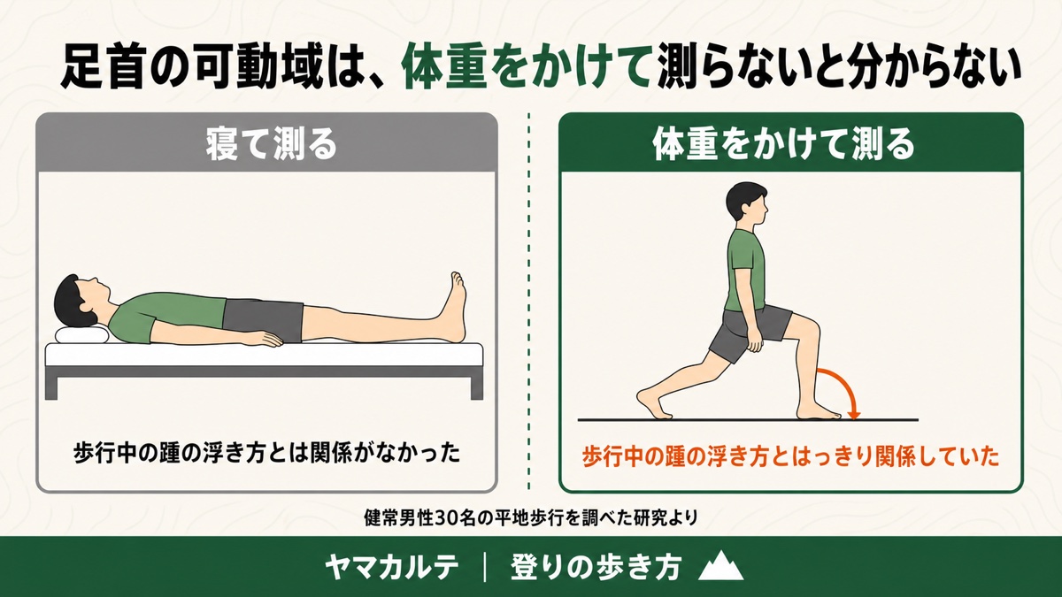 足首の可動域は寝て測るより体重をかけて測る 荷重位の背屈可動域だけが歩行中の踵の浮き方と関係していた 登山の登りの歩き方 ヤマカルテ