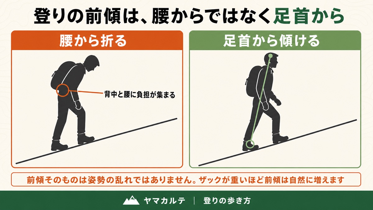 登りの前傾は腰から折らず足首から傾ける 背中をまっすぐ保つと腰への負担が減る 登山の登りの歩き方 ヤマカルテ
