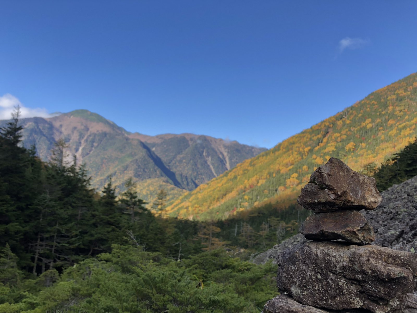 樹林帯を抜けて見える紅葉の尾根と小仙丈ヶ岳 仙水峠手前 甲斐駒ヶ岳