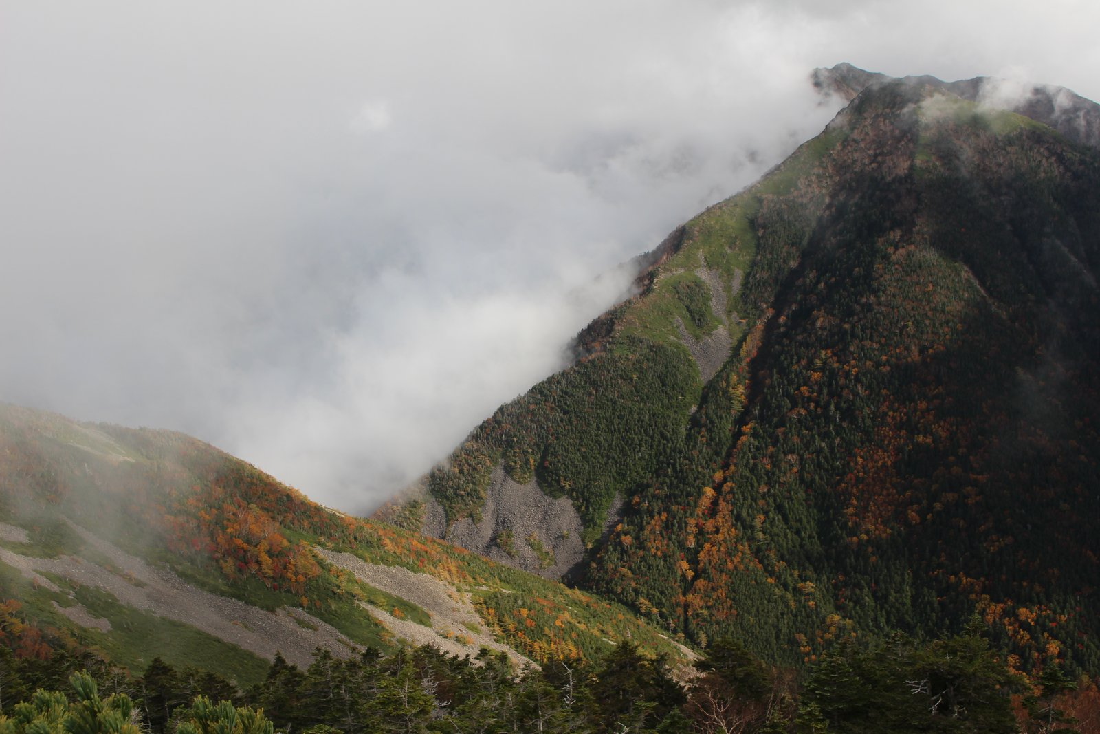 雲海の境目が尾根で分かれる甲斐駒ヶ岳からの下山路 紅葉の山肌