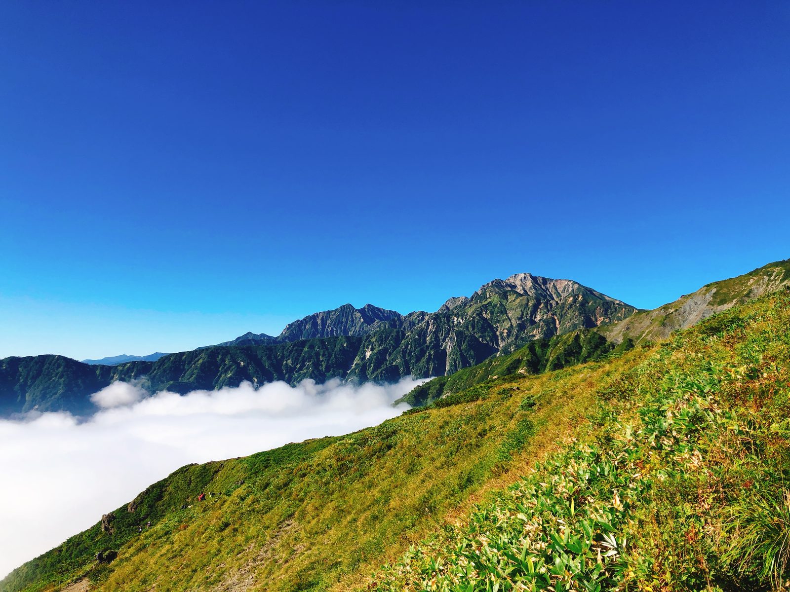 リフトから見た雲海と五竜岳・鹿島槍ヶ岳 八方尾根 唐松岳日帰り登山 ヤマカルテ