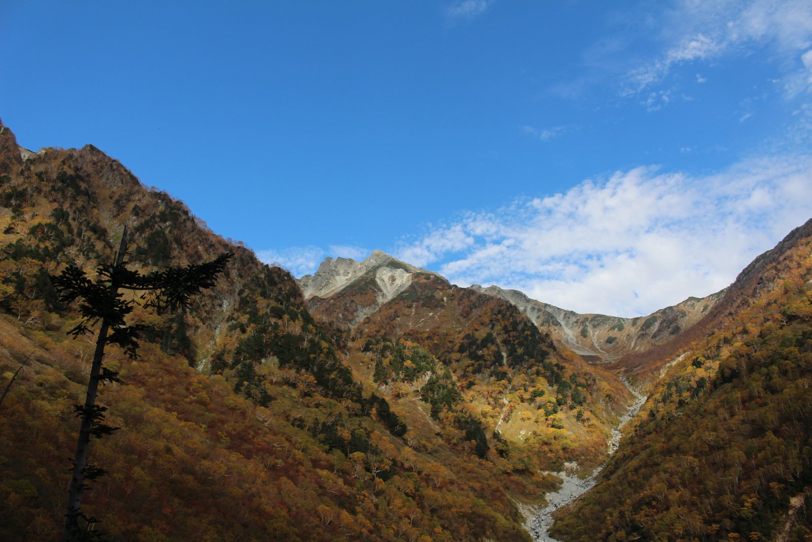 本谷橋付近から見た横尾本谷の紅葉 涸沢へ向かう登山道 北アルプス