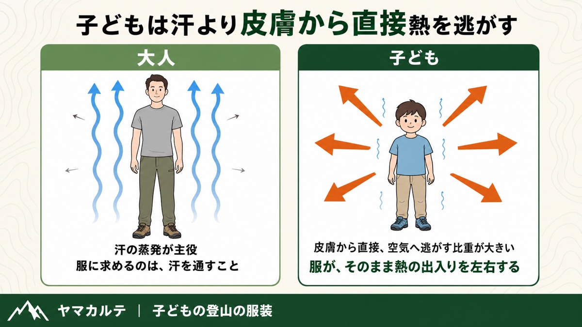 大人は汗の蒸発が主役、子どもは皮膚から直接空気へ逃がす比重が大きい 子どもの体温調節の違いを理学療法士が図解 ヤマカルテ