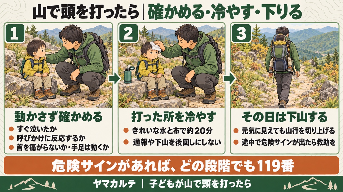 山で頭を打ったら確かめる・冷やす・下りるの図解 動かさずにすぐ泣いたか・呼びかけへの反応・首と手足を確かめる、きれいな水と布で約20分冷やし通報や下山を後回しにしない、元気に見えてもその日は下山し途中で危険サインが出たら救助を、危険サインがあればどの段階でも119番 ヤマカルテ