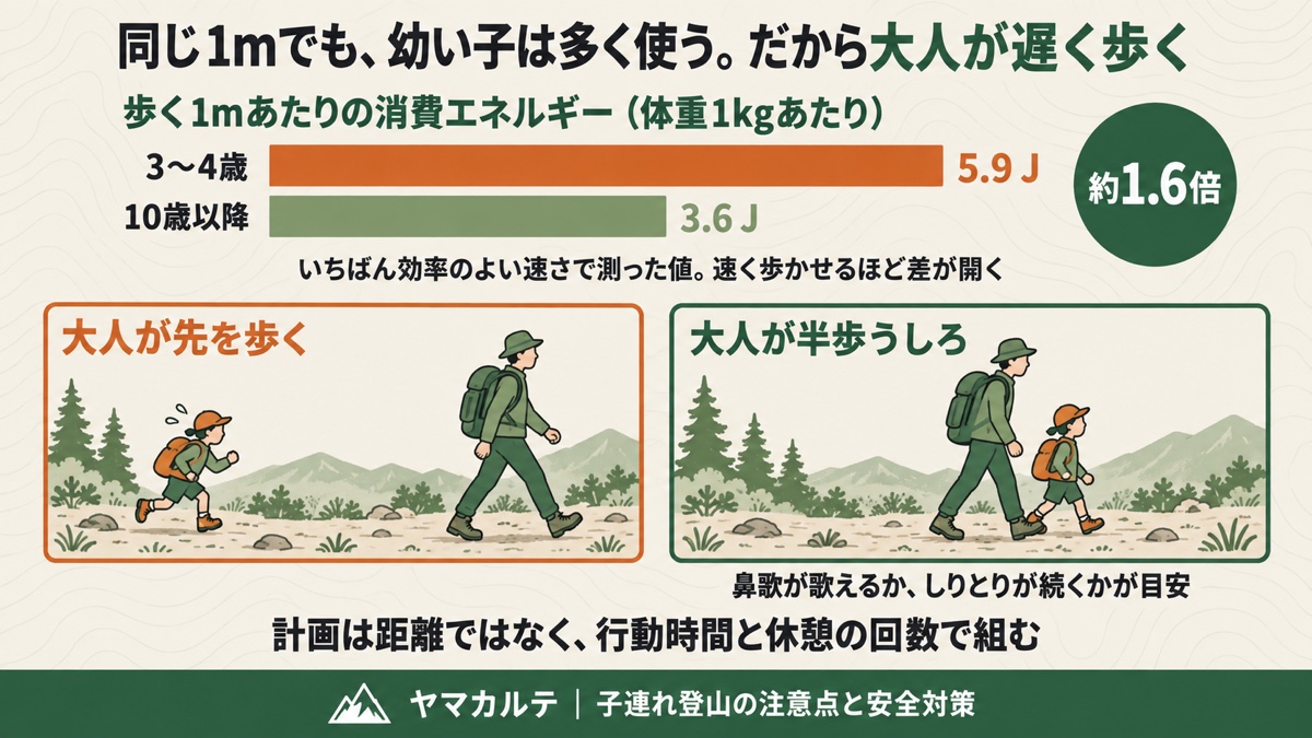 歩く1mあたりの消費エネルギーは3〜4歳5.9J・10歳以降3.6Jで約1.6倍 大人が先を歩くと差が開くので半歩うしろを歩く 子連れ登山の登りの図解 ヤマカルテ