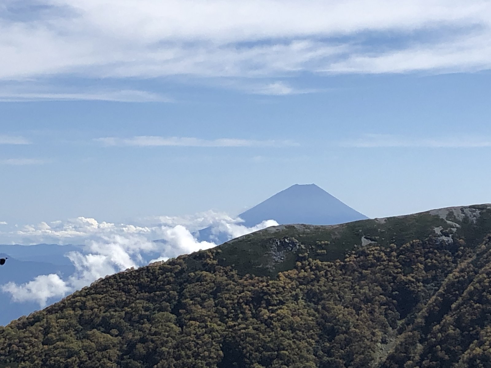 小太郎尾根分岐付近から見る雲海の上の富士山 北岳