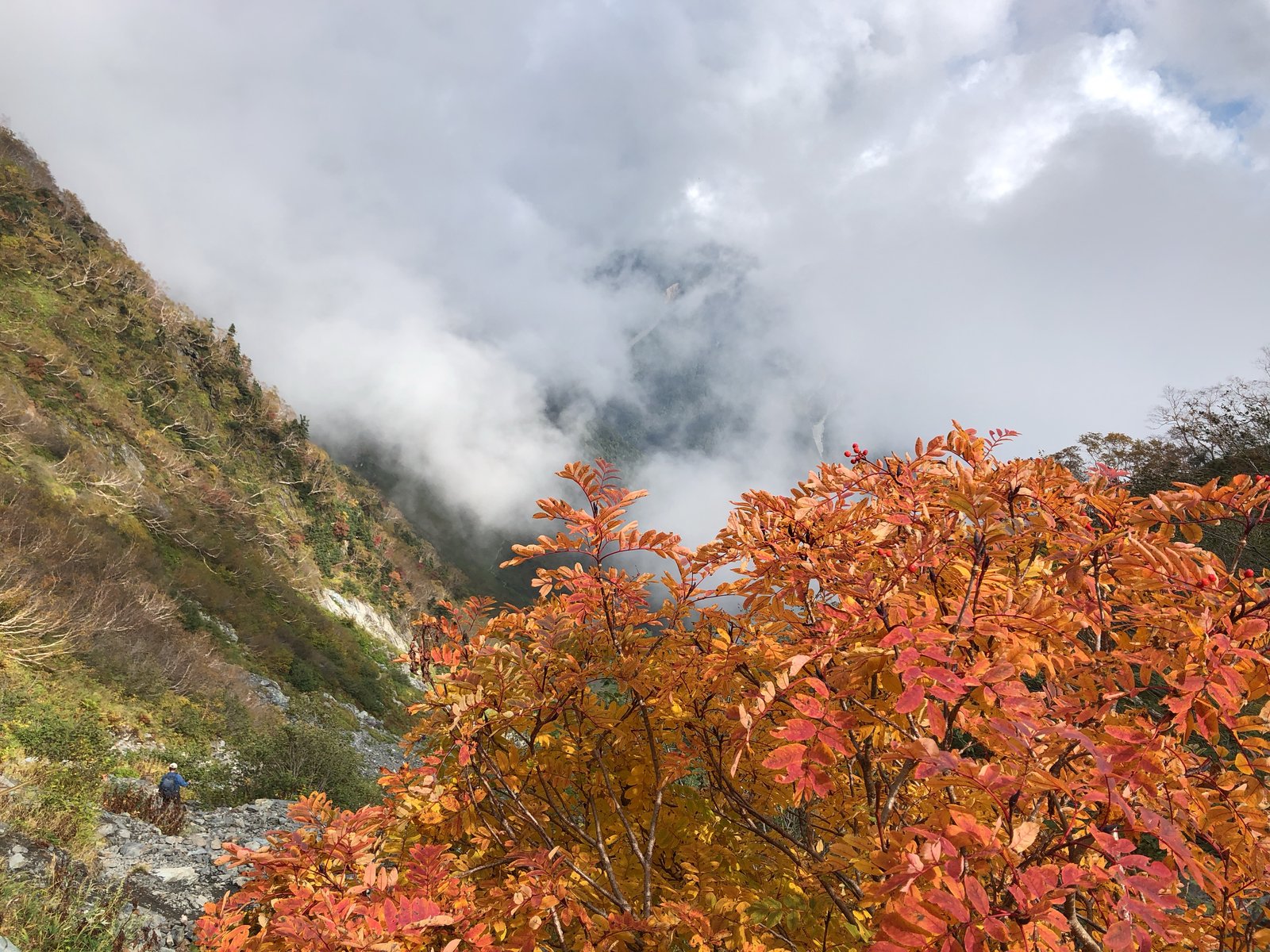 八本歯のコル付近の紅葉 北岳 左俣コース