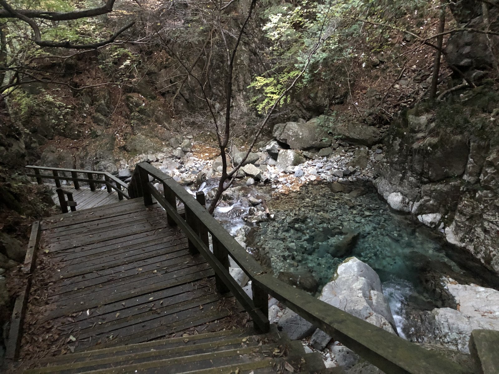 乙女渓谷の沢沿いに続くウッドデッキ 小秀山 二ノ谷ルート