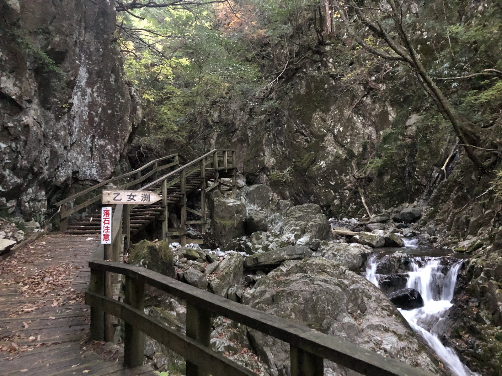 薄暗い朝の乙女淵と木道の階段 小秀山 乙女渓谷