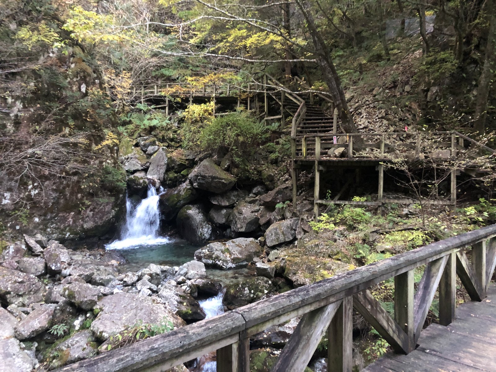沢を渡るように架けられた木橋と小さな滝 乙女渓谷の遊歩道