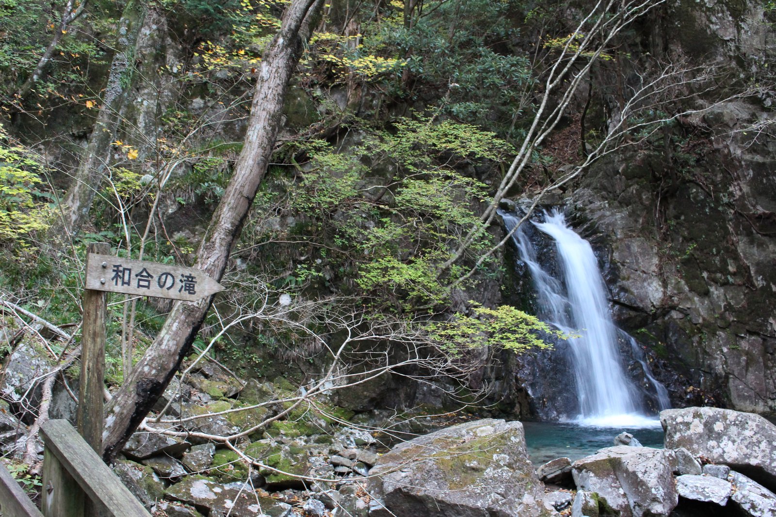 青い滝つぼに落ちる和合の滝 乙女渓谷 小秀山 二ノ谷ルート