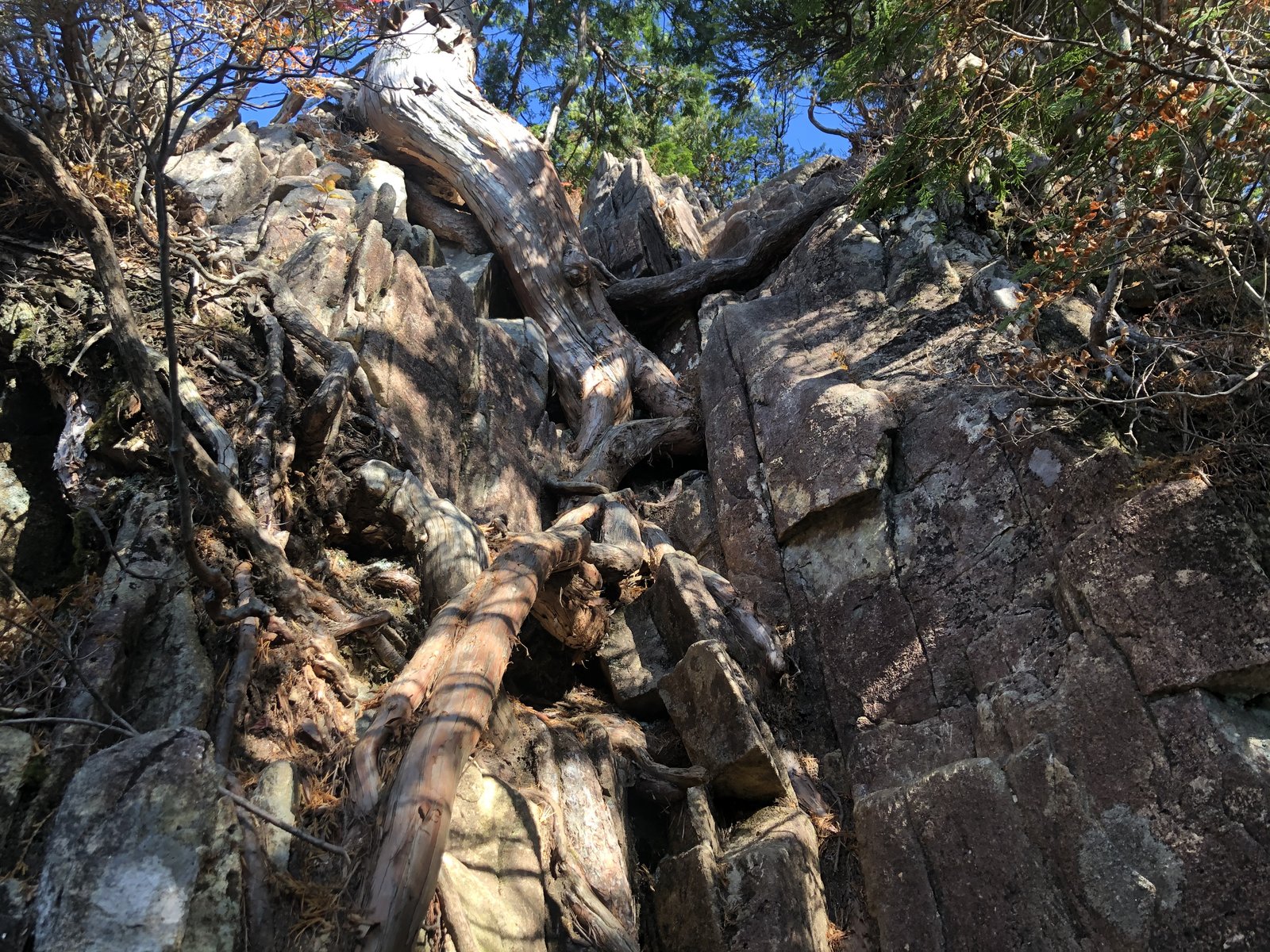 手を使って登る高さ約7mの岩壁 カモシカ渡り 小秀山