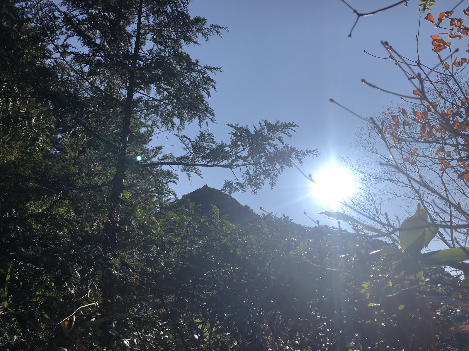 木々の間に見えるとがった兜岩と逆光の太陽 小秀山 二ノ谷ルート