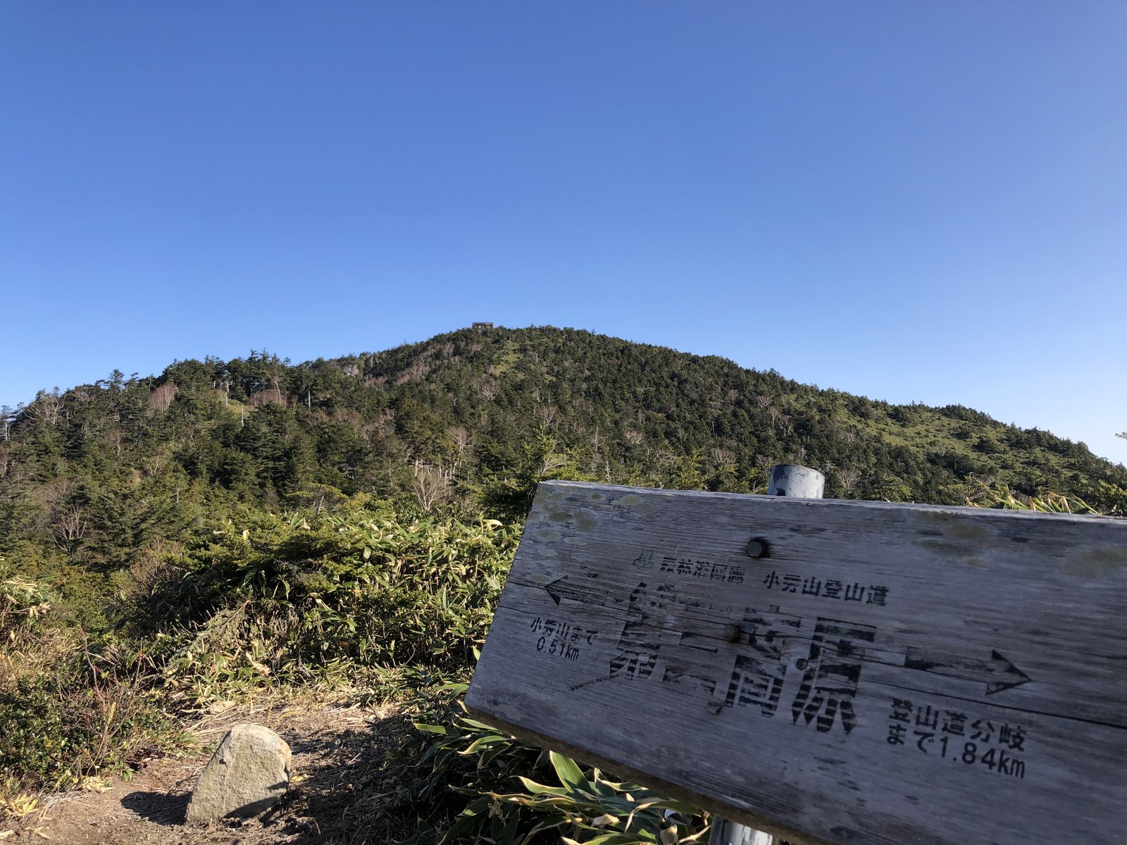 第三高原の道標と山頂へ続くなだらかな稜線 小秀山