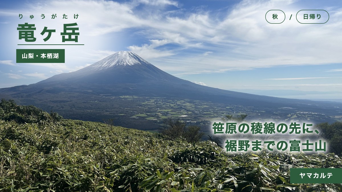竜ヶ岳の笹原の稜線から望む雪をかぶった富士山 本栖湖から日帰り周回 山梨 ヤマカルテ